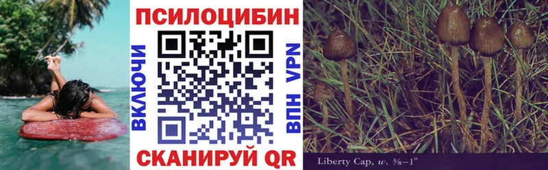 Галлюциногенные грибы ЛСД  хочу   Чистополь 